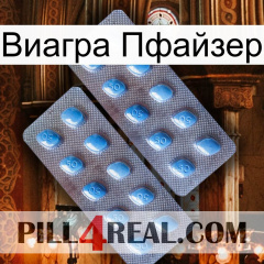 Виагра Пфайзер viagra4